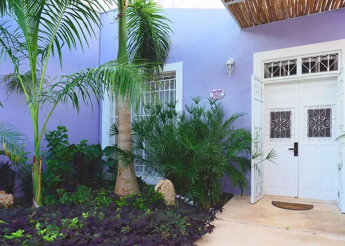 Casa Violeta